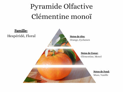 Bougie Gourmande - Clémentine monoï