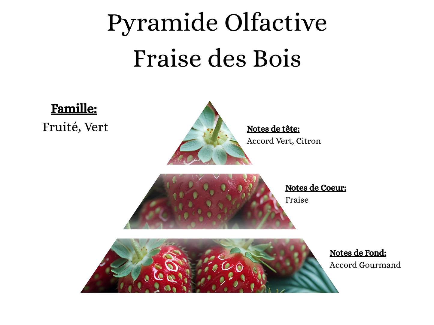 Fondant Crémeux - Fraise des Bois