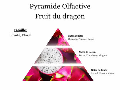 Bougie Gourmande - Fruit du dragon