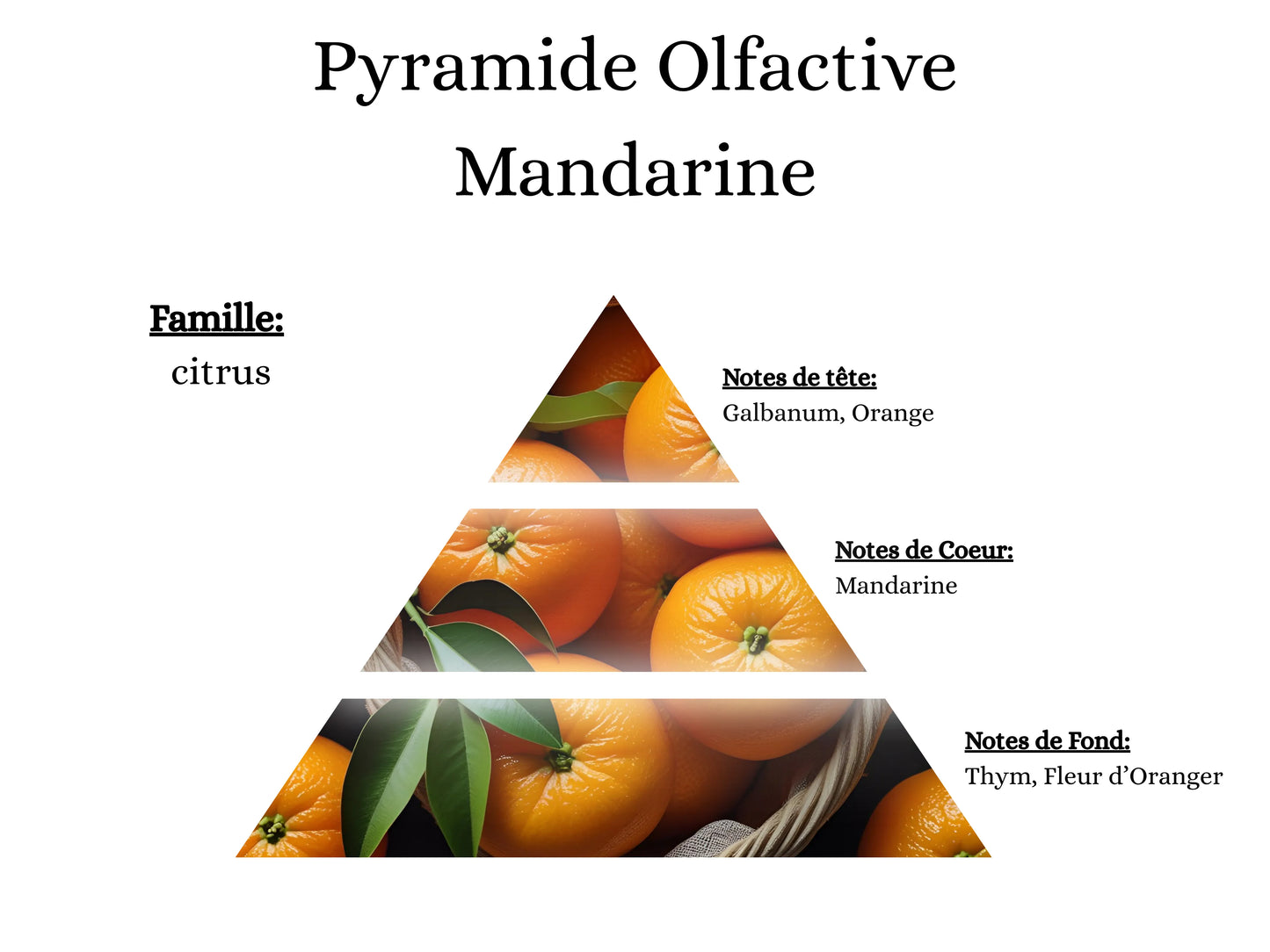 Bougie Parfumée - Mandarine