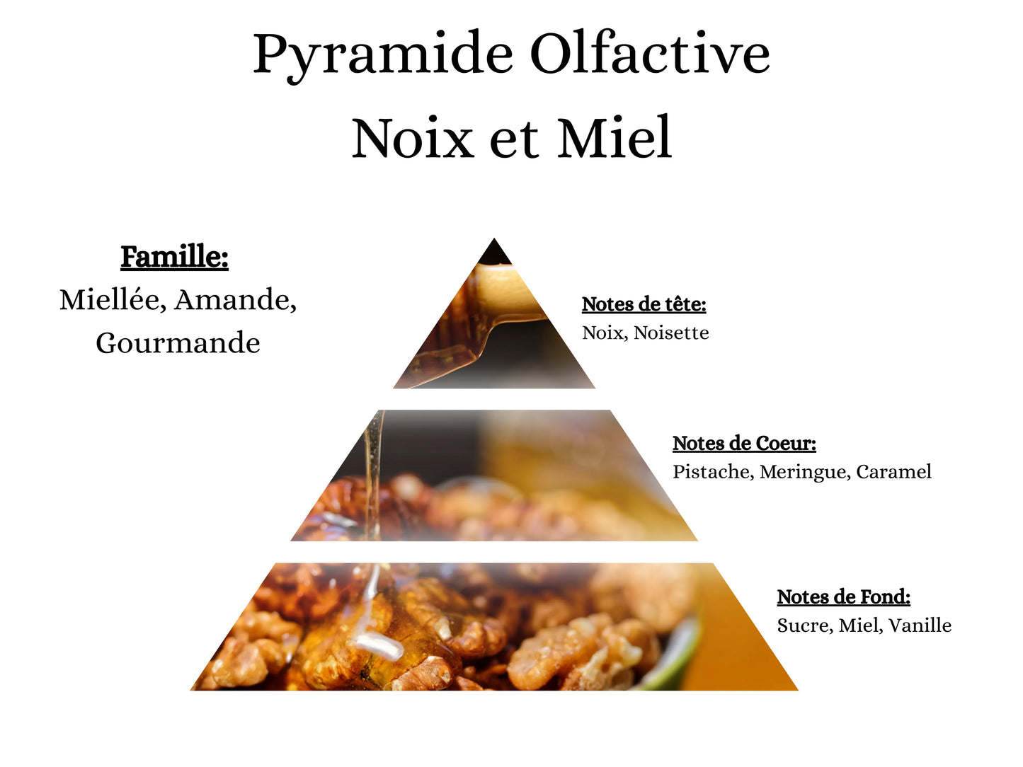 Bougie Parfumée - Noix et miel
