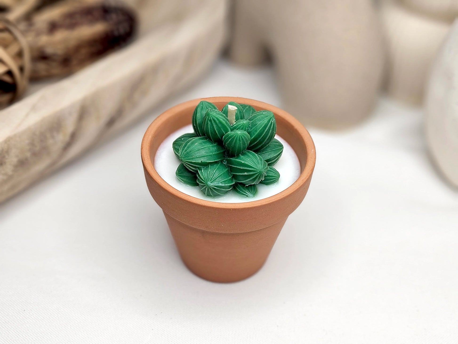 Vue aérienne de la bougie Aloe Vera montrant l'assemblage du cactus décoratif dans son pot en terre cuite artisanale.